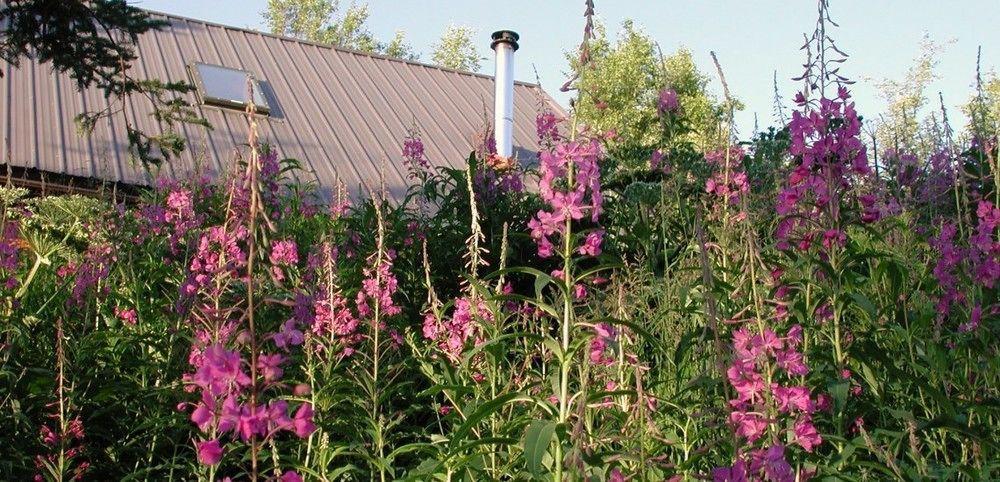 Juneberry Lodge 호머 외부 사진