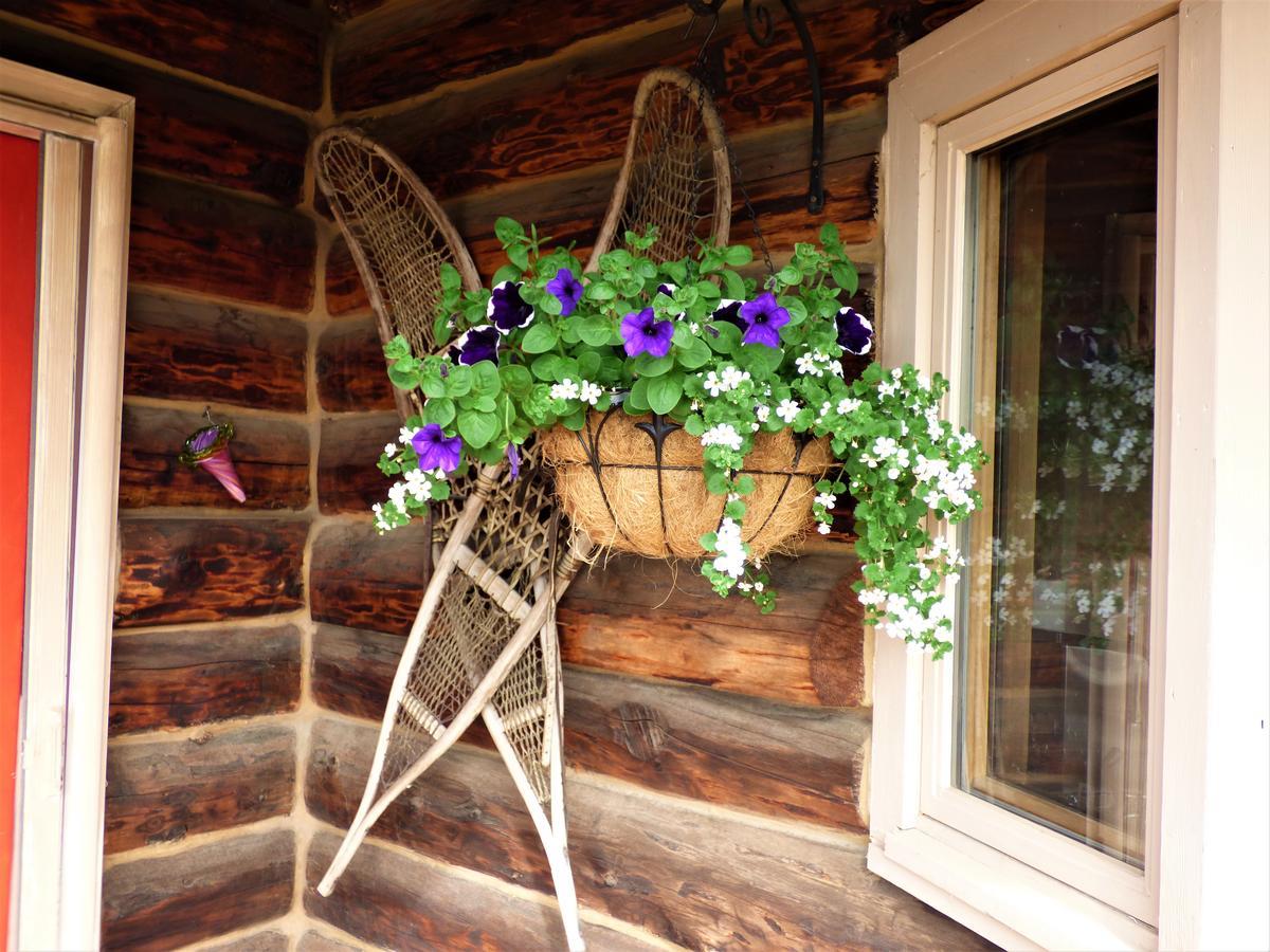 Juneberry Lodge 호머 외부 사진